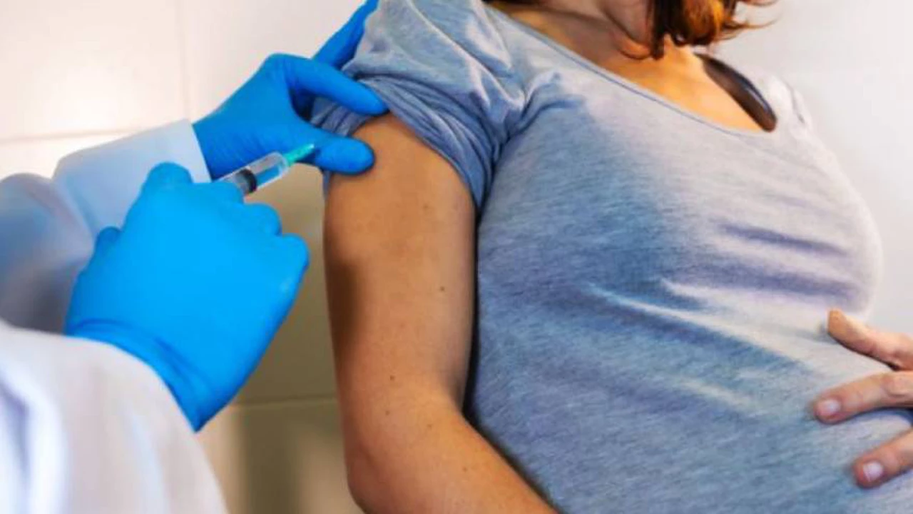 El Gobierno confirmó que las embarazadas tendrán prioridad para vacunarse contra el Covid-19