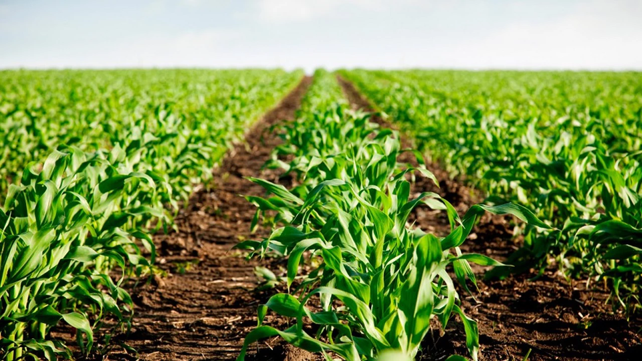 Emprendimiento tecnológico argentino aporta valor a la producción sustentable del agro