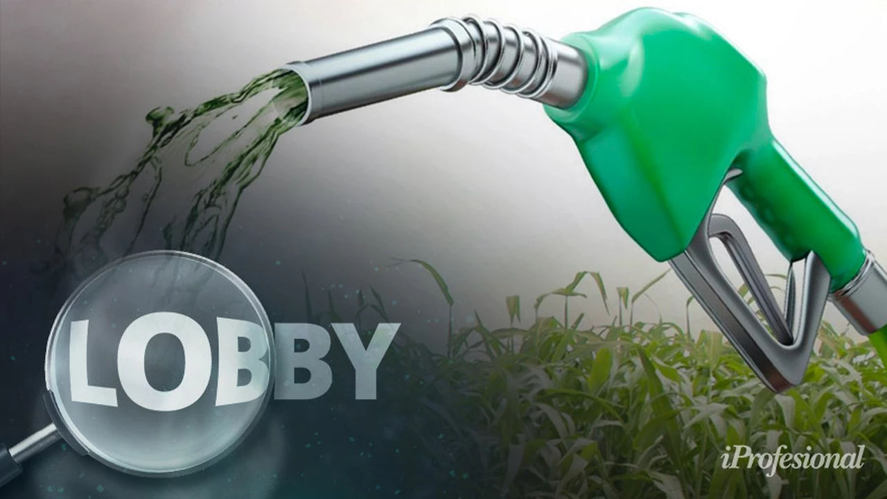 Lobby: la guerra de intereses entre empresas y Gobierno por el nuevo régimen de biocombutibles