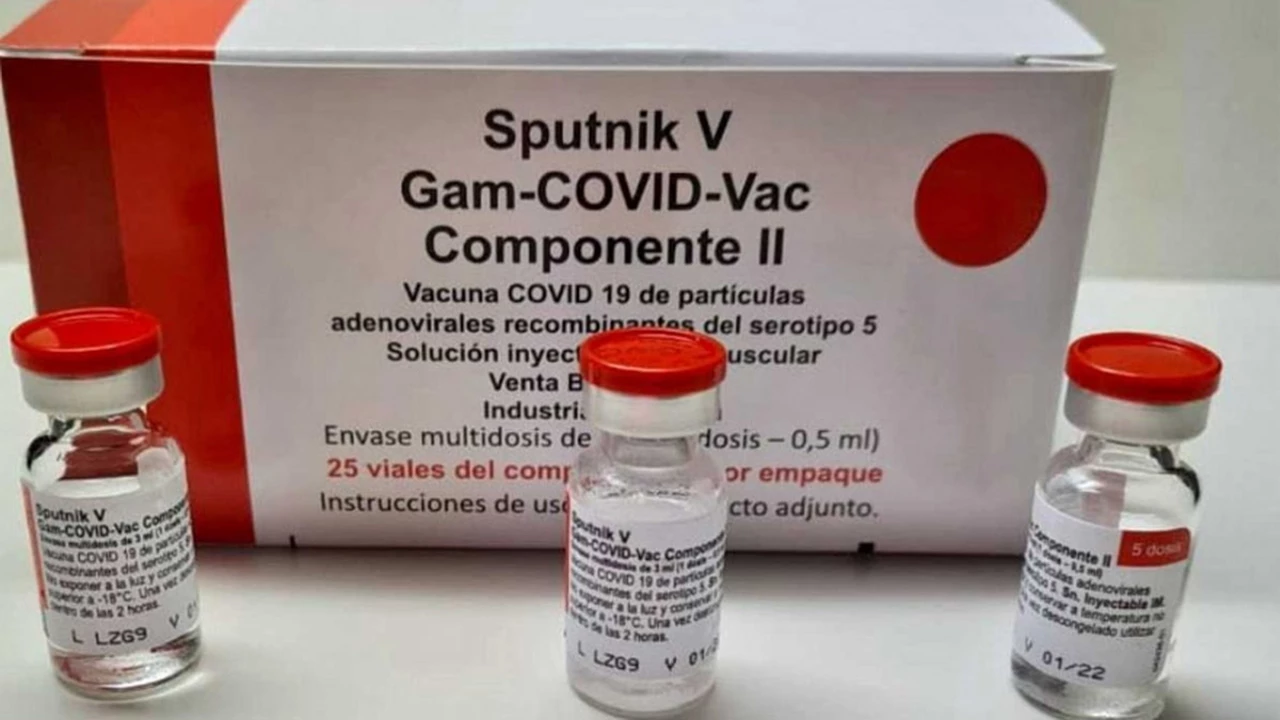 Sputnik V: Argentina y Rusia afirmaron que trabajarán para "acelerar el suministro de la vacuna"