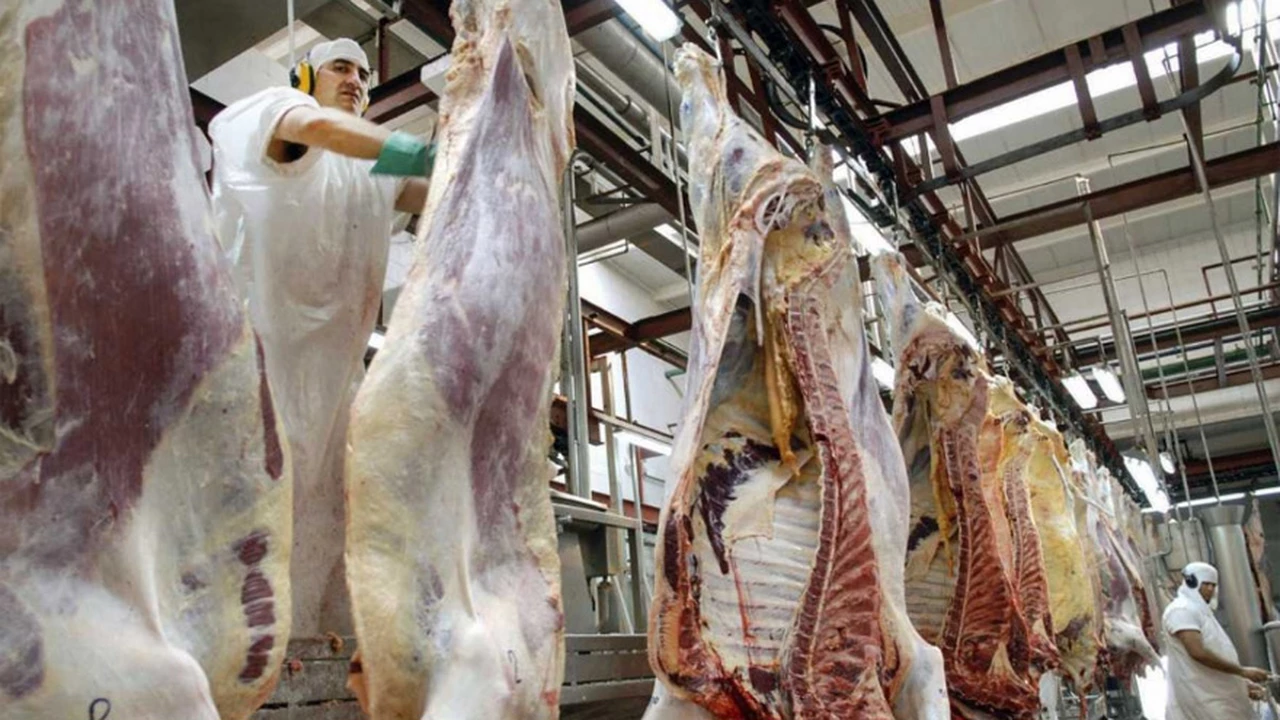 Pese a los buenos precios internacionales, las exportaciones de carne cayeron en abril