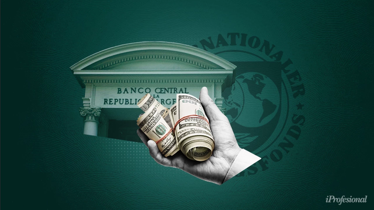 "El Gobierno se va a tener que tragar varios sapos con el FMI", advierte un economista