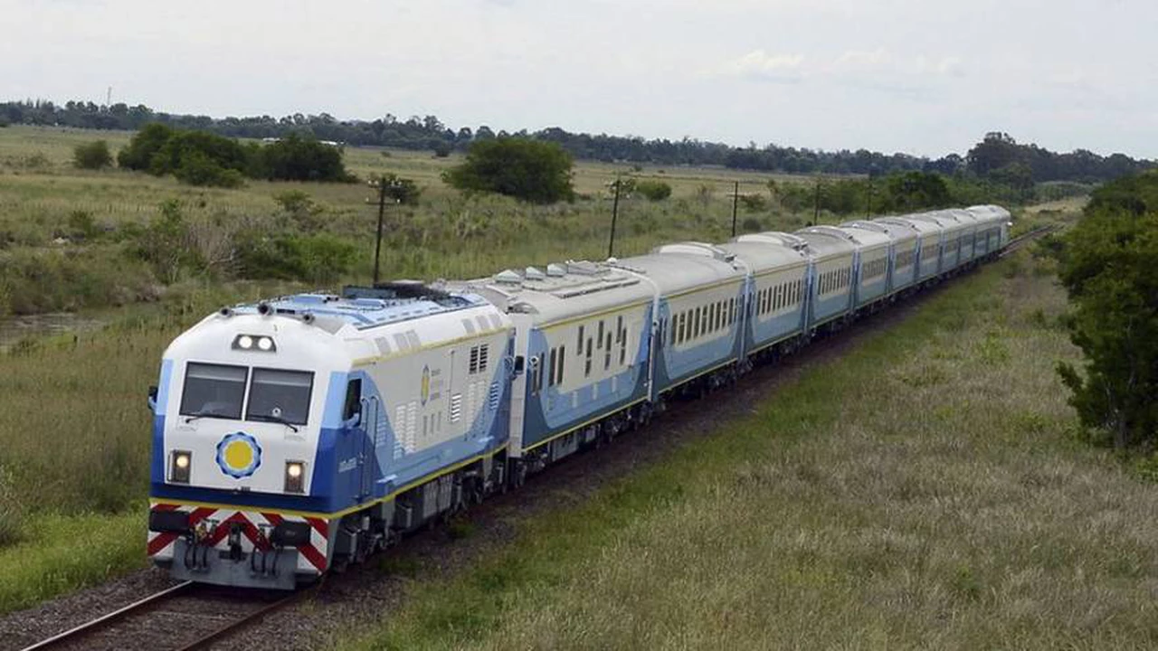 Esta empresa argentina de trenes buscará inversores en Rusia para la red ferroviaria local