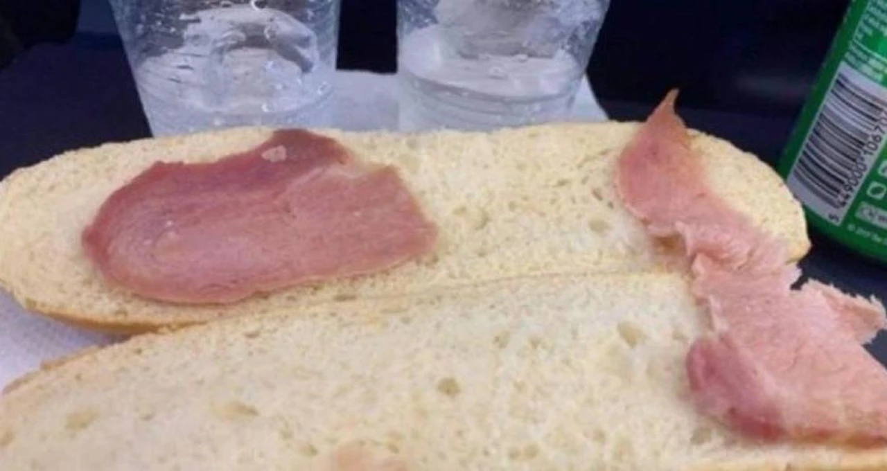 Viral: el "pobre" sándwich por el que una pasajera de avión tuvo que pagar u$s7