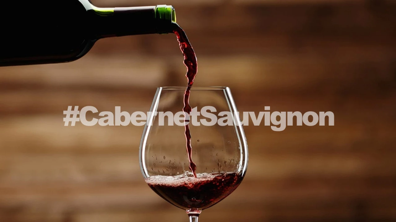 ¿Buscás buenos Cabernet Sauvignon?: 12 vinos que debés probar en su día
