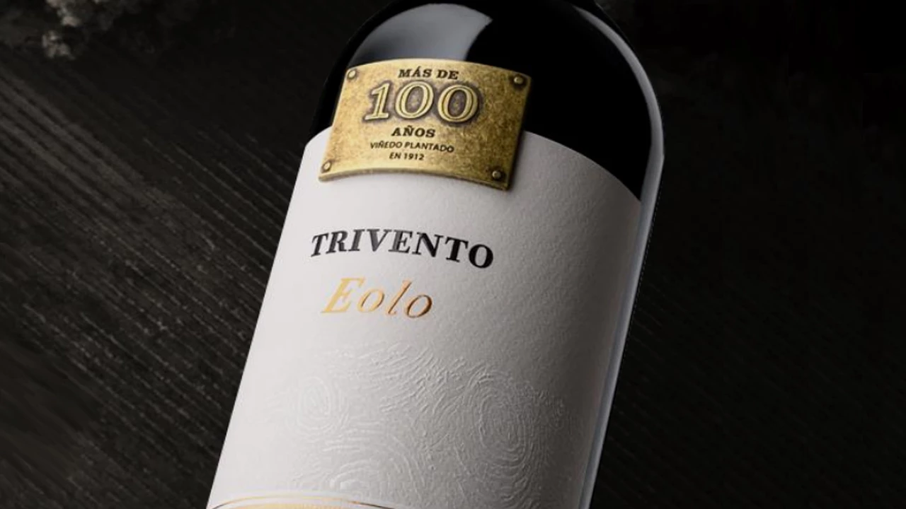 Un Malbec de un viñedo de más de 100 años, el secreto del vino ícono de bodega Trivento