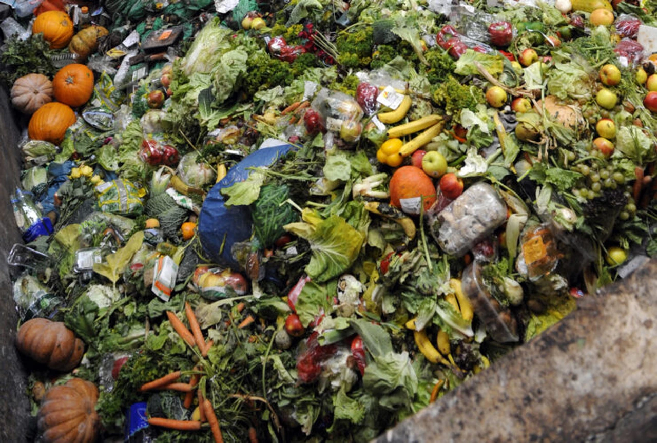 El mundo desperdició el 17% de los alimentos que produjo en 2019, según la ONU