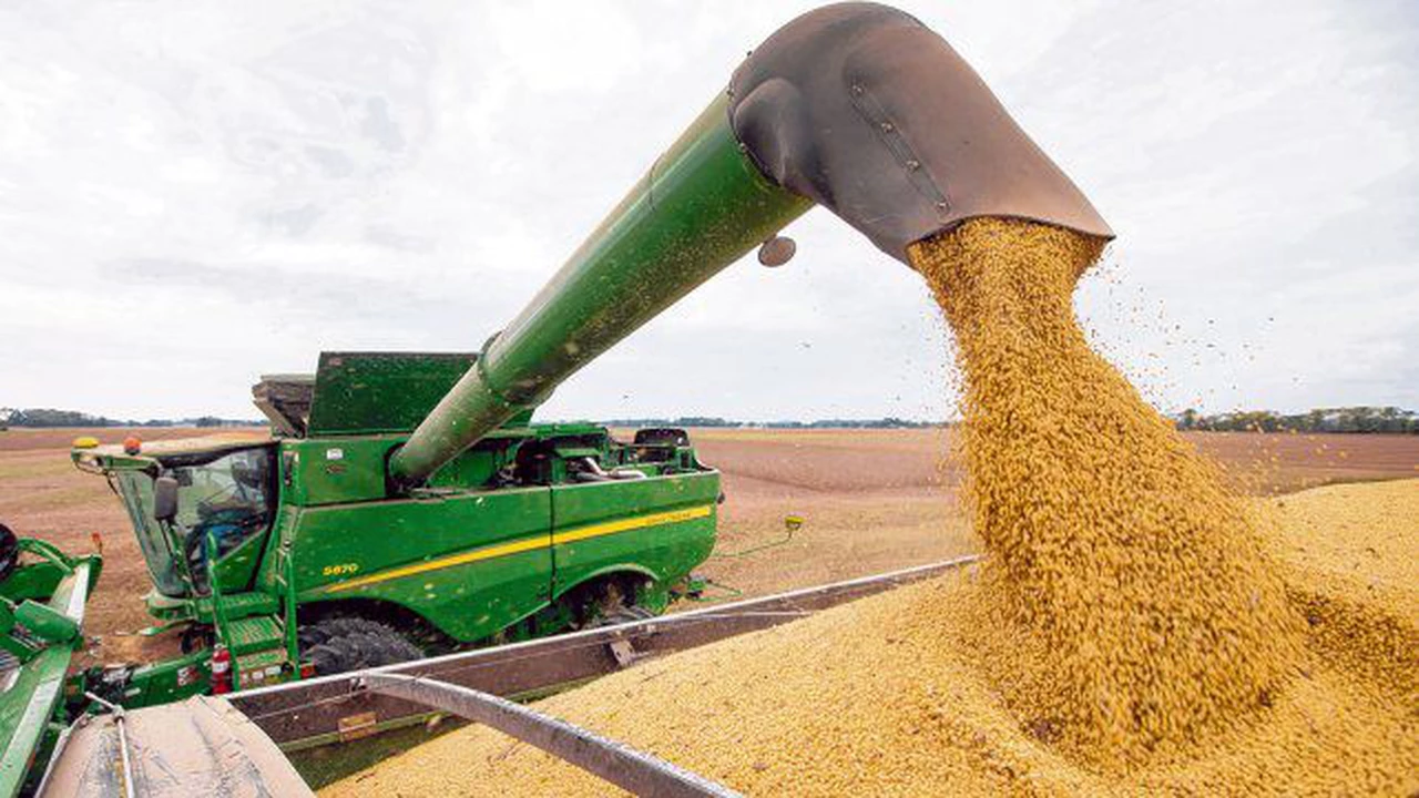 La AFIP desarticuló desde enero maniobras fraudulentas que involucran más de 53.000 toneladas de granos
