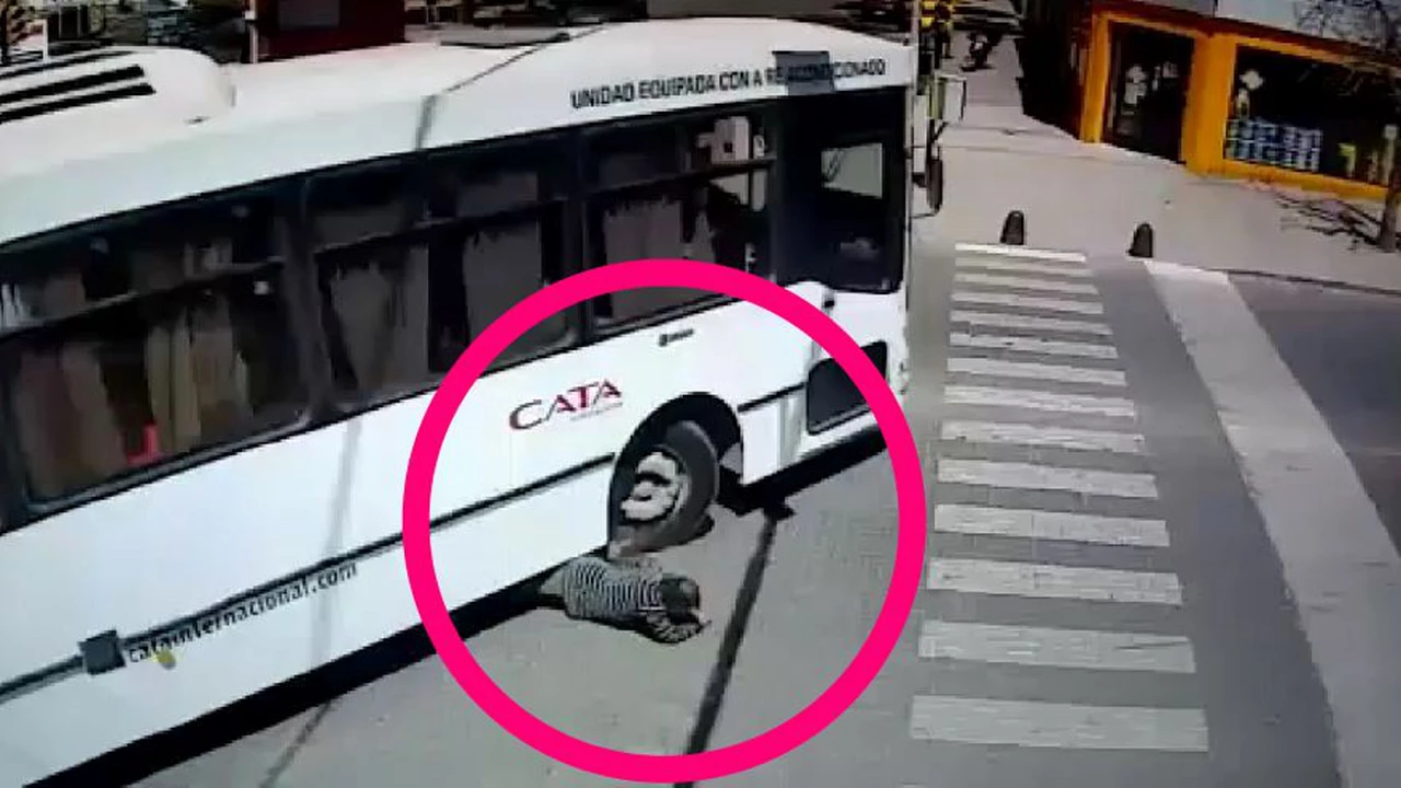 Video: iba en bicicleta, lo atropellaron, se levantó y salió caminando de abajo de un colectivo