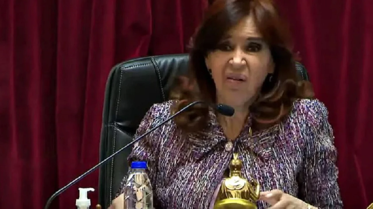 "Parecen gallinas": el polémico gesto de Cristina Kirchner a los senadores de la oposición