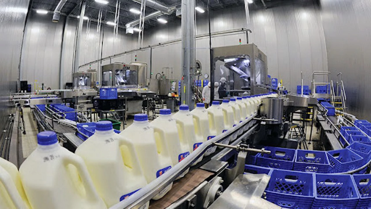 Alarma: preocupa el posible despido de 1.200 trabajadores de una de las mayores lácteas del país