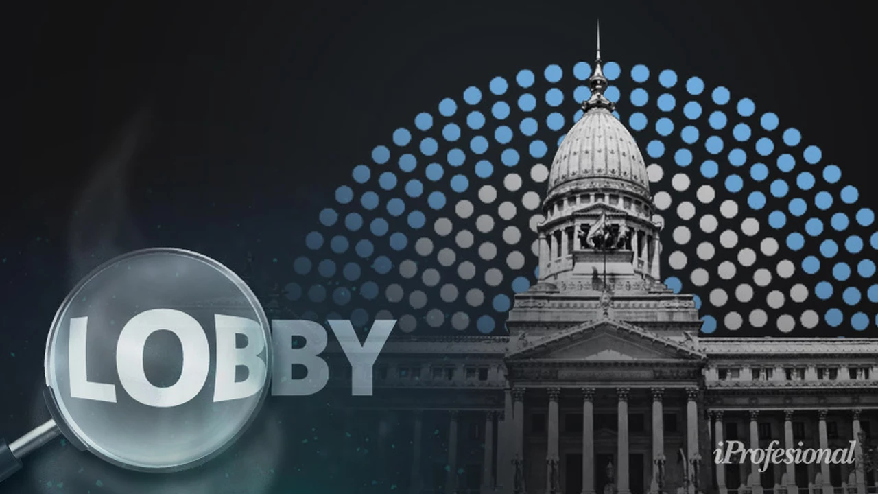 Lobby: las batallas que se avecinan en la Cámara de Diputados después del 14N