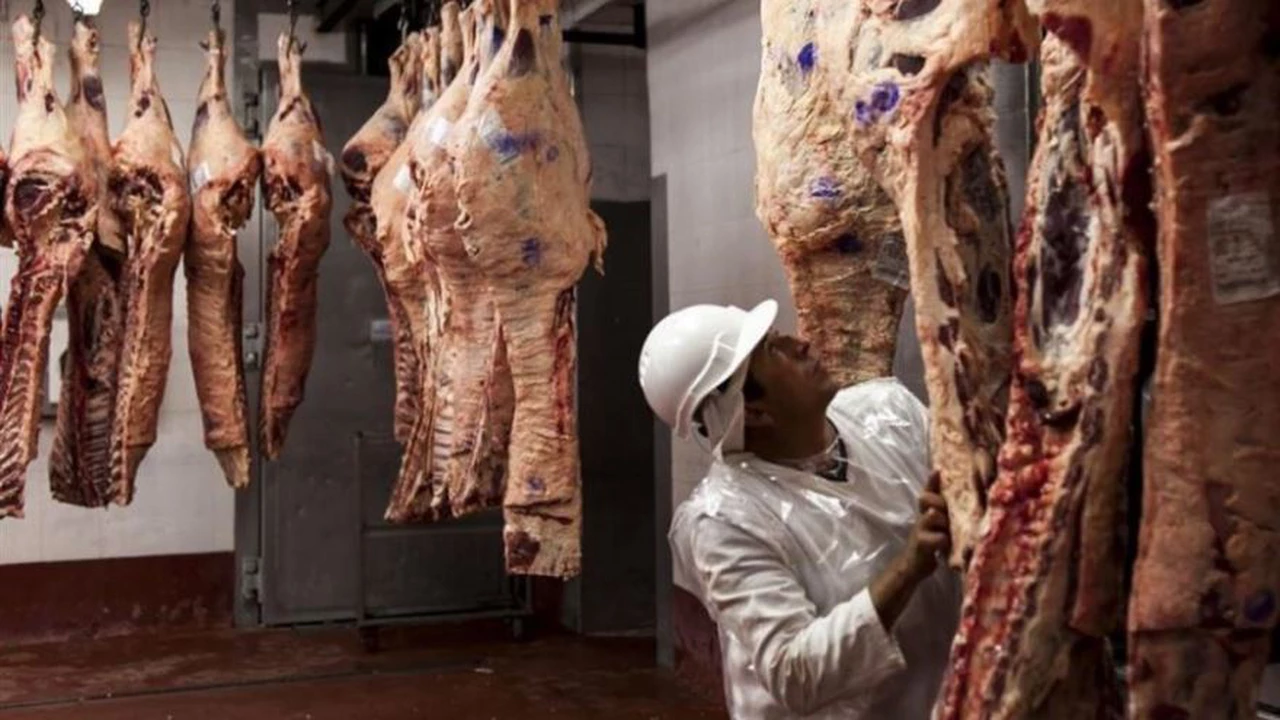 Alerta: gremios de la carne amenazan con medidas de fuerza por falta de acuerdo salarial