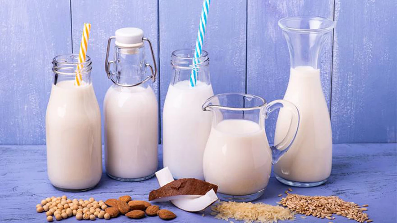 Las 10 leches vegetales más saludables: ¿cómo hacer la bebida según la variedad o producto elegido?