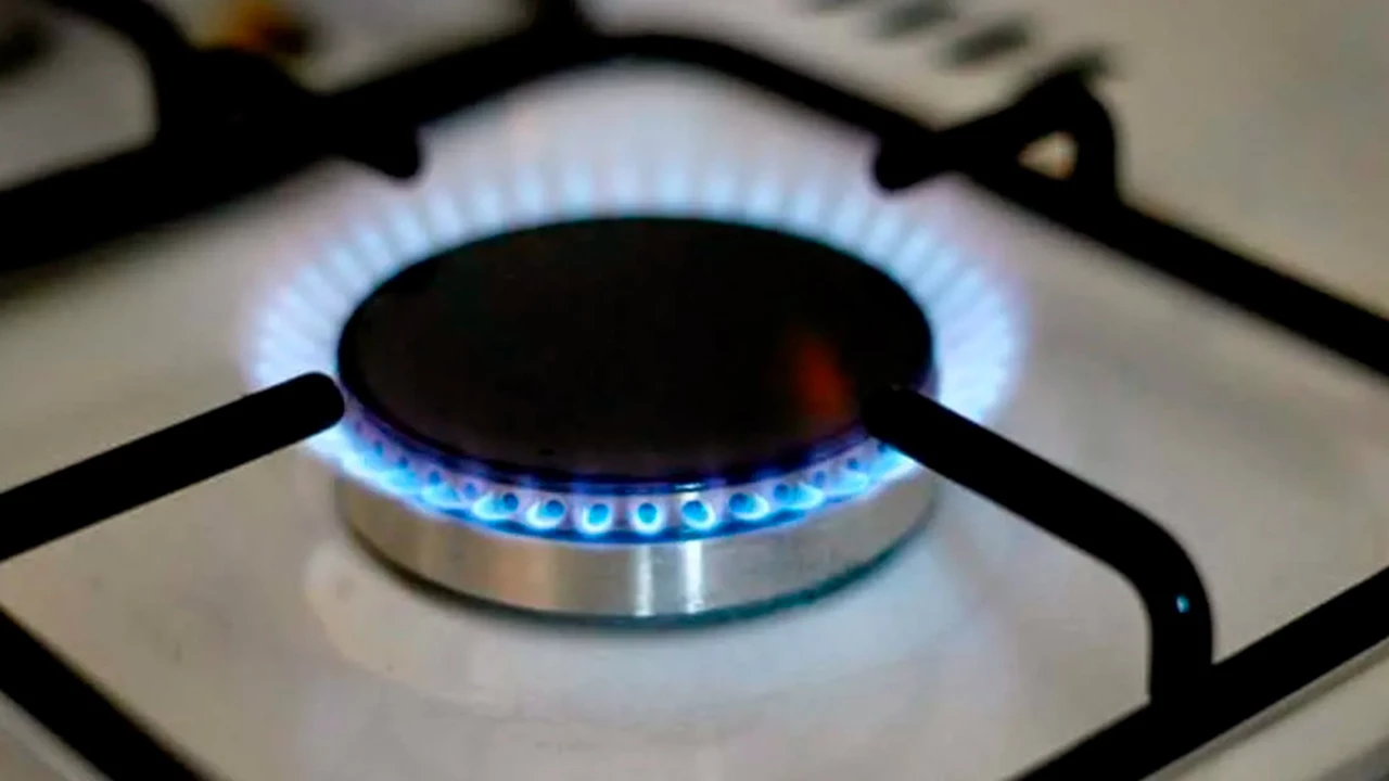 Gobierno convocó a audiencia pública para actualizar la tarifa de gas