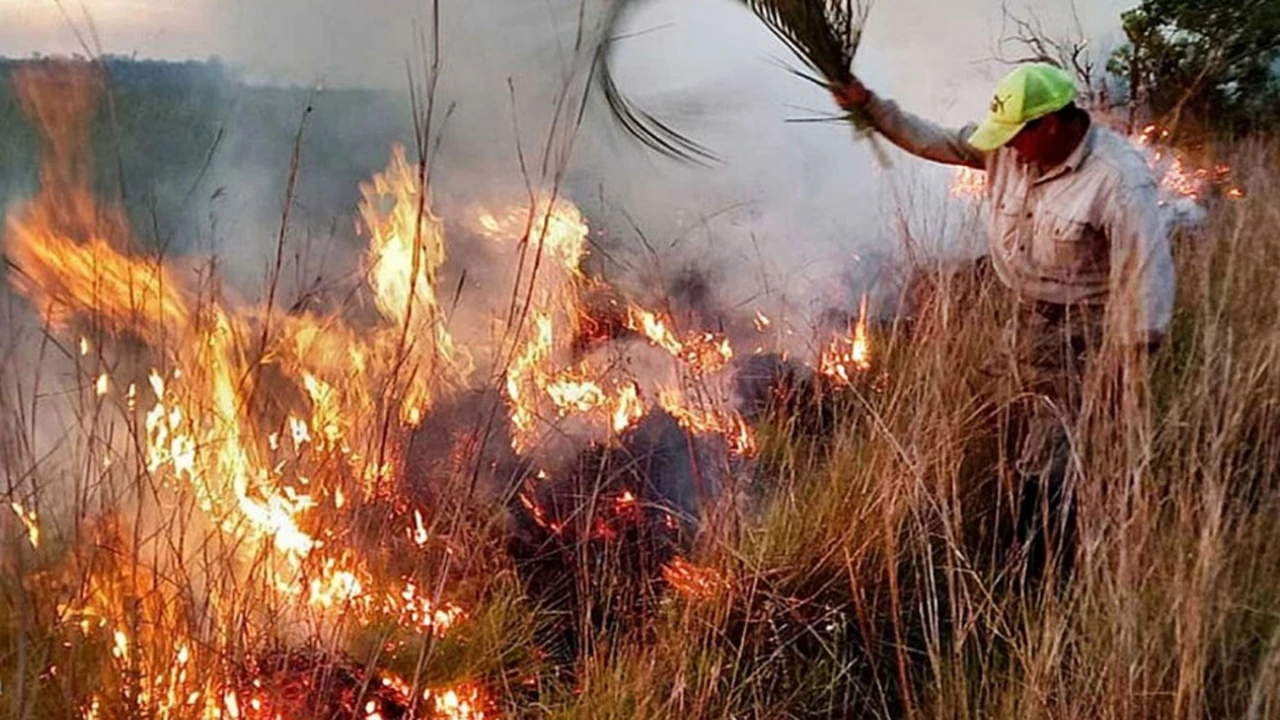 Incendios en Corrientes: el gobernador pidió ayuda a Estados Unidos