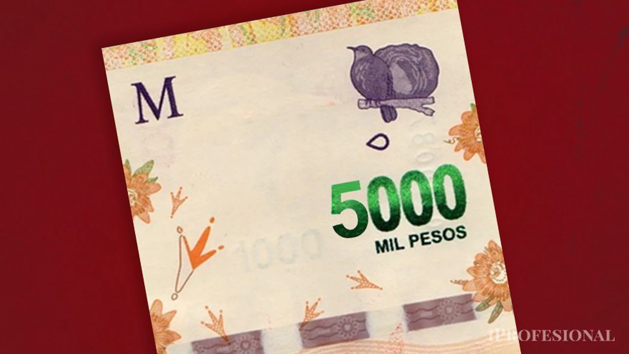 Nuevo proyecto para emitir billetes de $5.000 y $10.000: qué dicen desde el Gobierno