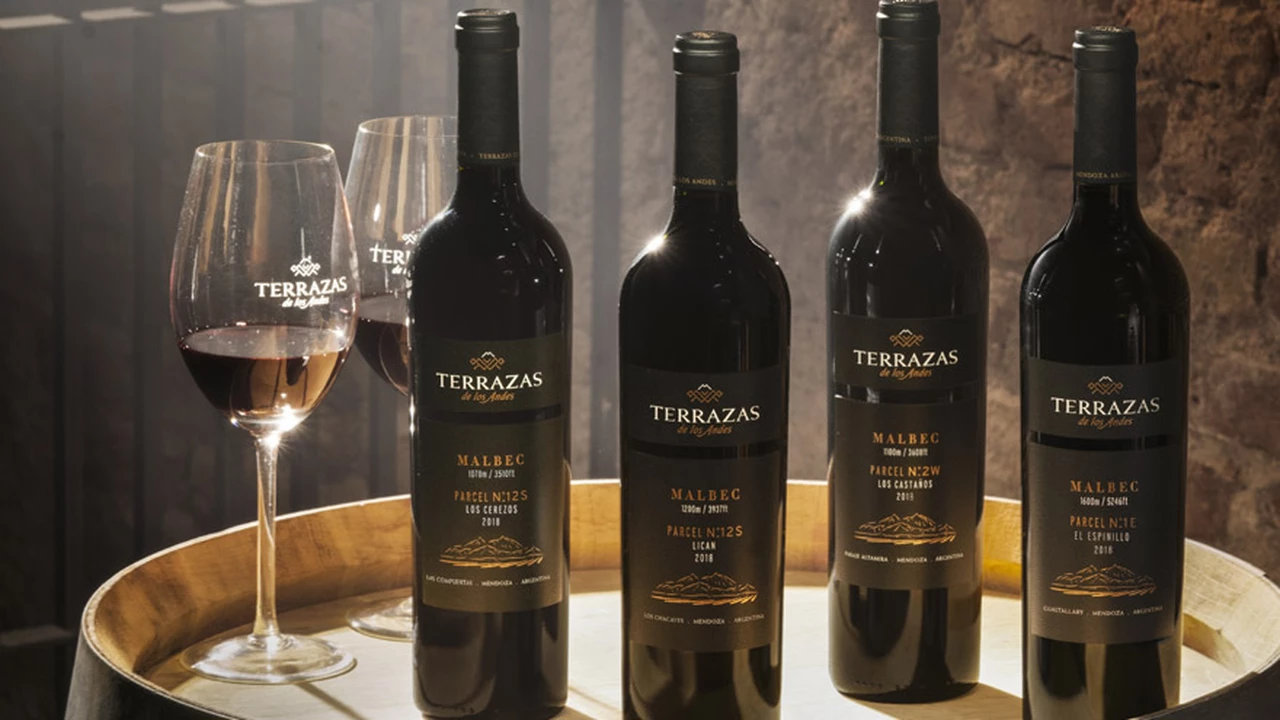 Un viaje al Malbec de Mendoza en cuatro vinos que hay que probar