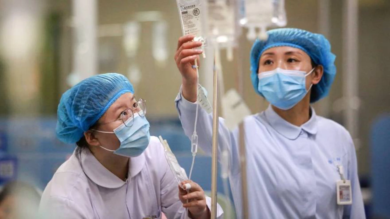 Gripe aviar en China: reportan el primer caso humano de la cepa H3N8