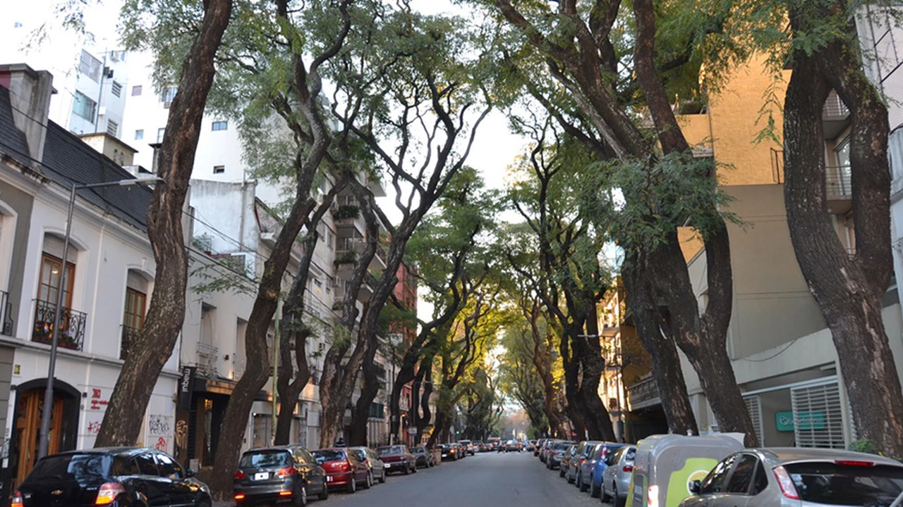 El furor inmobiliario en Palermo no se detiene: cuáles son los precios por metro cuadrado según la zona