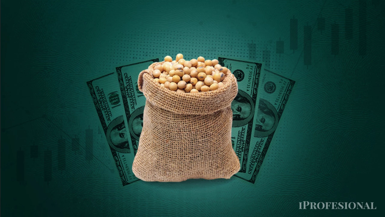 Nuevo "dólar soja": productores sojeros podrán liquidar a $200