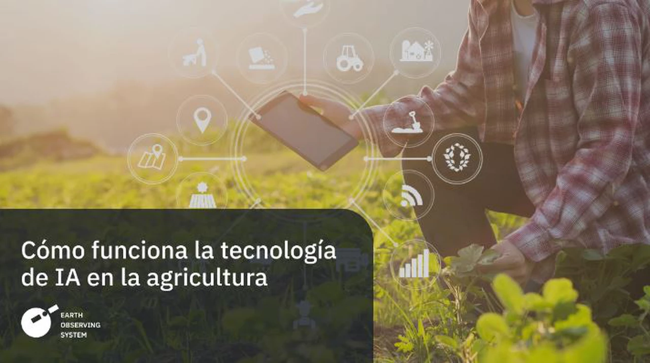 Cómo funciona la tecnología de IA en la agricultura