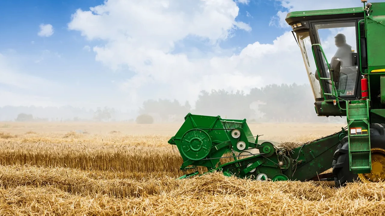 El campo rechazó la idea del Gobierno de intervenir en el mercado de granos: "Pretenden fundir al productor"