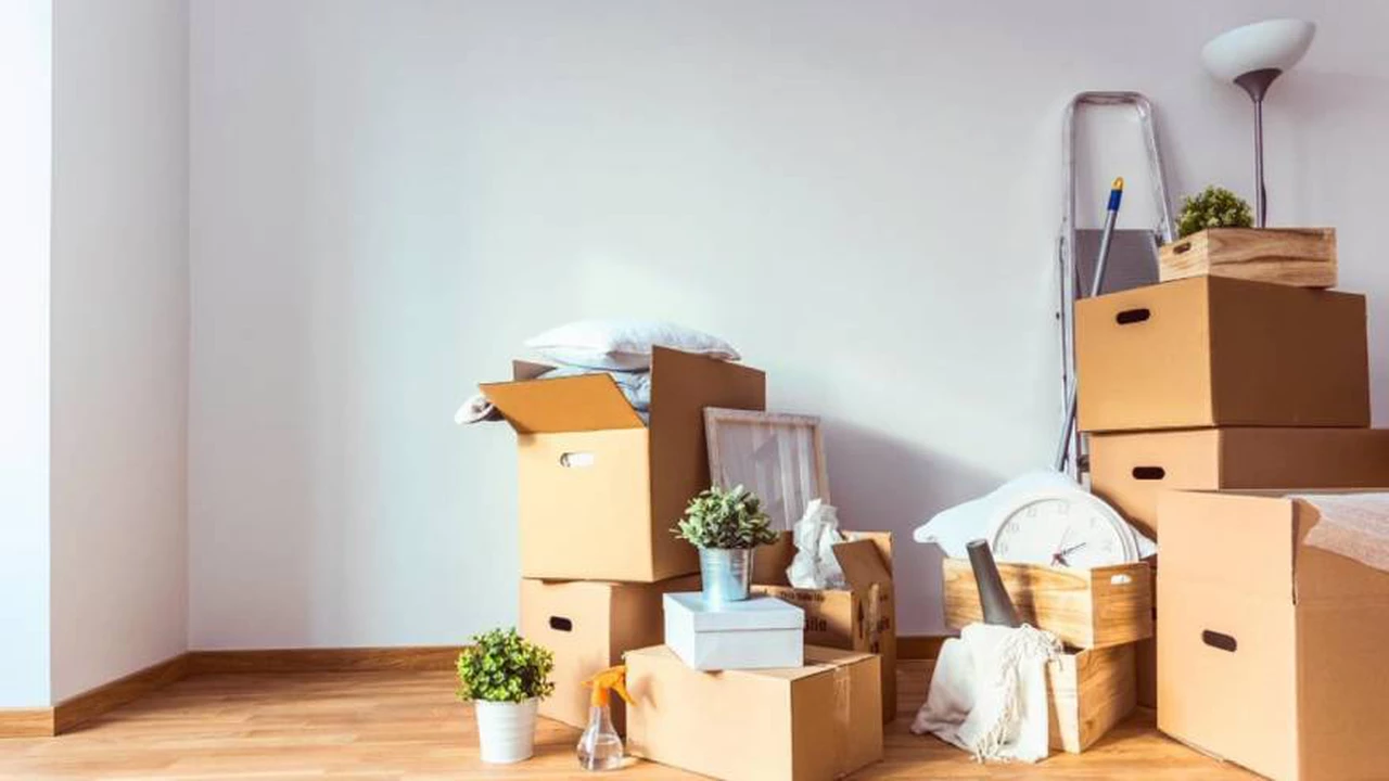 Mudanzas sin estrés: esta emprendedora embala cajas y las ordena en tu nuevo hogar