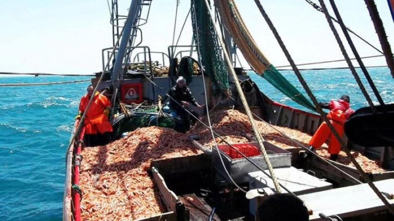 Ganancias: anuncian alivio fiscal para trabajadores de la pesca