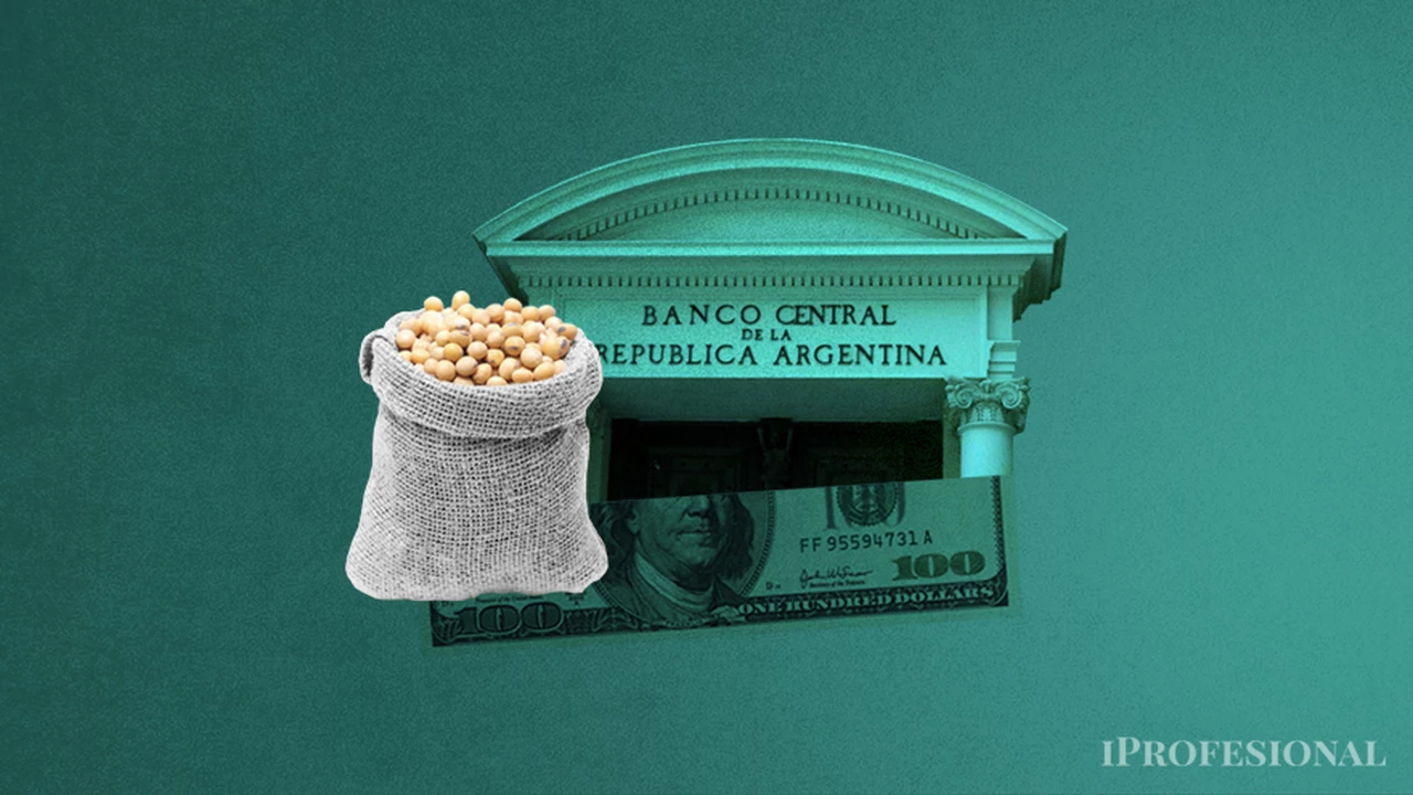 El dólar agro repuntó y trajo alivio a las reservas: ¿cuánto sumó el BCRA en la semana?