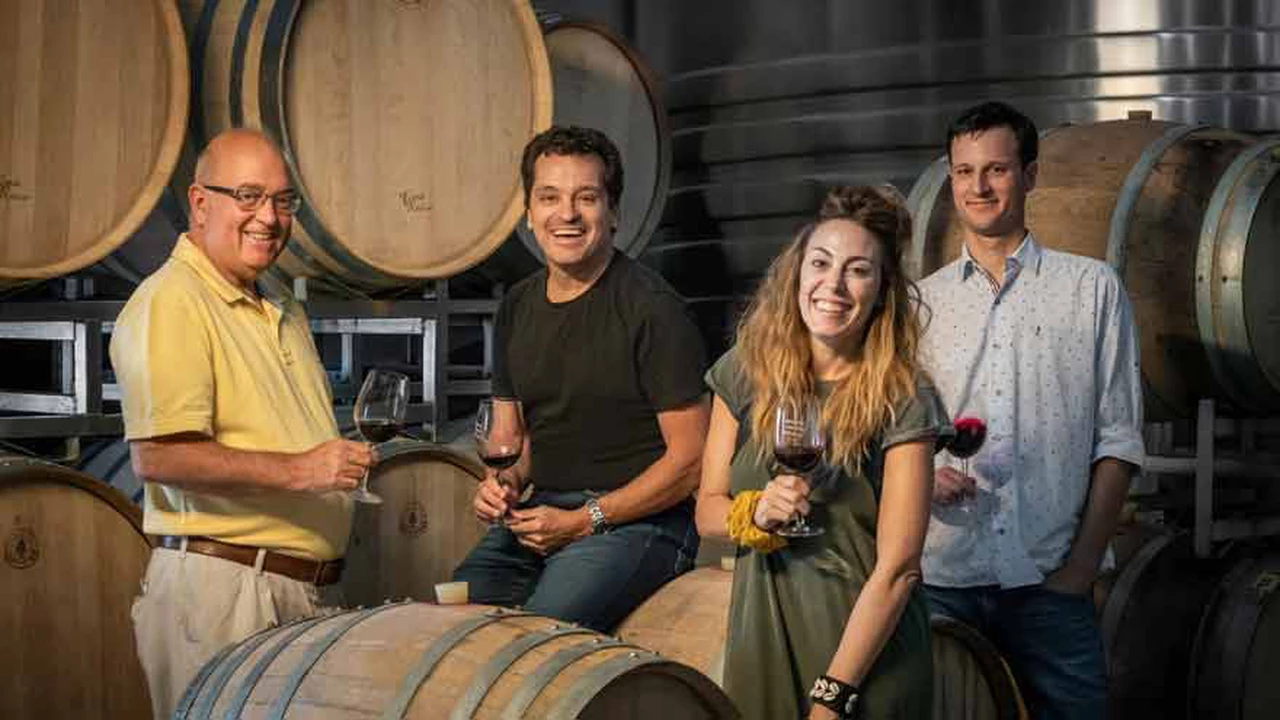 La familia argentina que lidera el negocio del aceite apuesta fuerte al vino: planea vender más de 1 millón de botellas