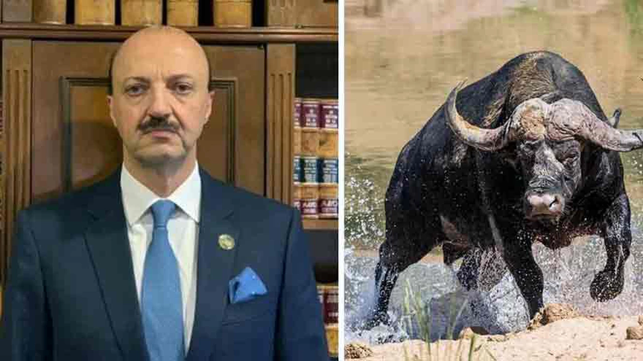 VIDEO | Así fue la embestida del búfalo que mató al cazador mexicano cerca de Gualeguaychú