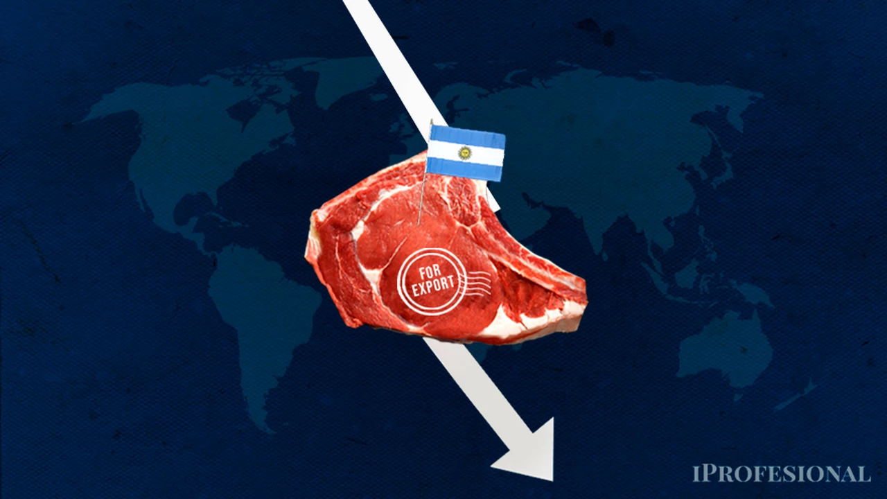 Se desploman las exportaciones de carne argentina: cuántos pierde el país por la crisis en China y Europa