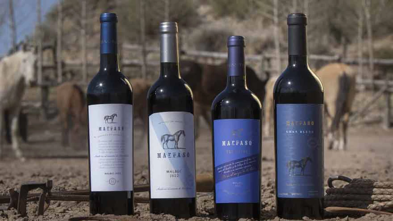 Lanzan en la Argentina Marraso Wines, una nueva línea de vinos con foco en el terruño