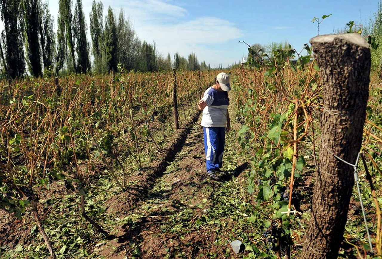 Argentina perdería unos 8.000 millones de dólares por la gran sequía en 2023