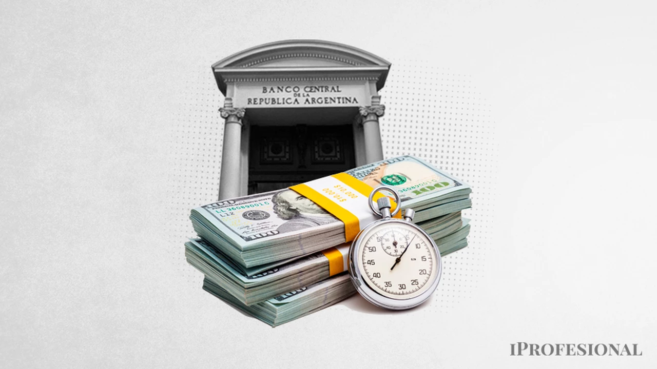 Alerta por menos dólares provenientes del campo: ¿cuántas divisas podrían entrar al Banco Central este año?
