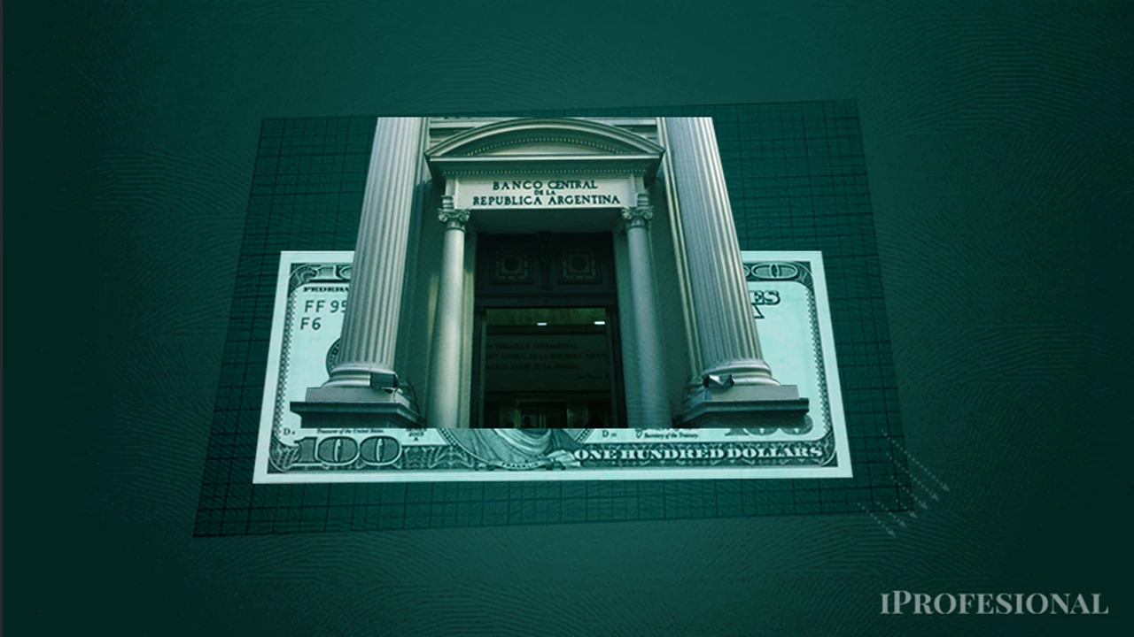 Reservas: el Banco Central volvió a comprar dólares, pero prevén nivel crítico para las PASO