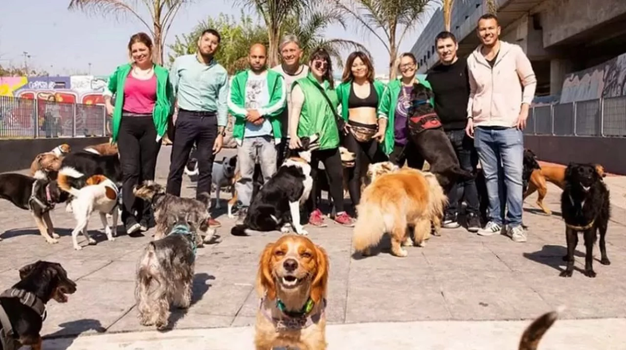 Paseadores de perros quieren regular la actividad: exigen blanquear trabajadores y consolidar sueldo básico de $150.000