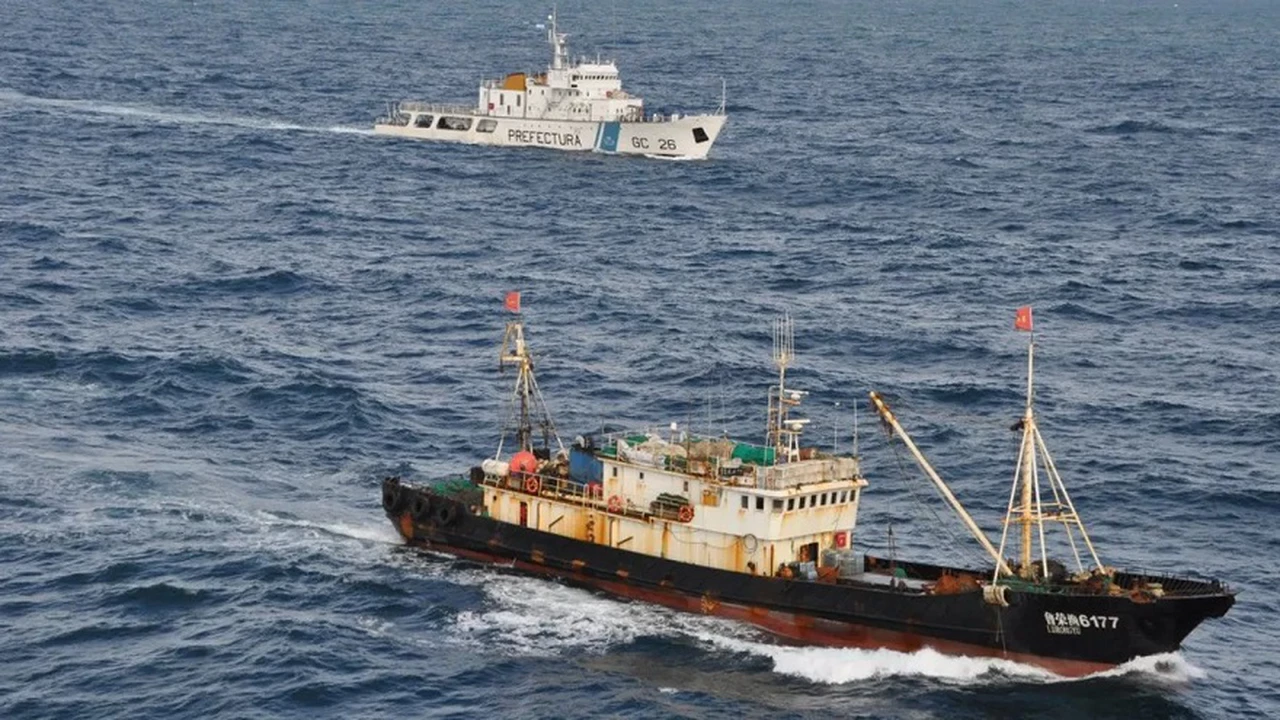 China depreda en el Sur: la flota de pesca ilegal aumentó 800% su actividad en torno a Argentina y acelera el saqueo