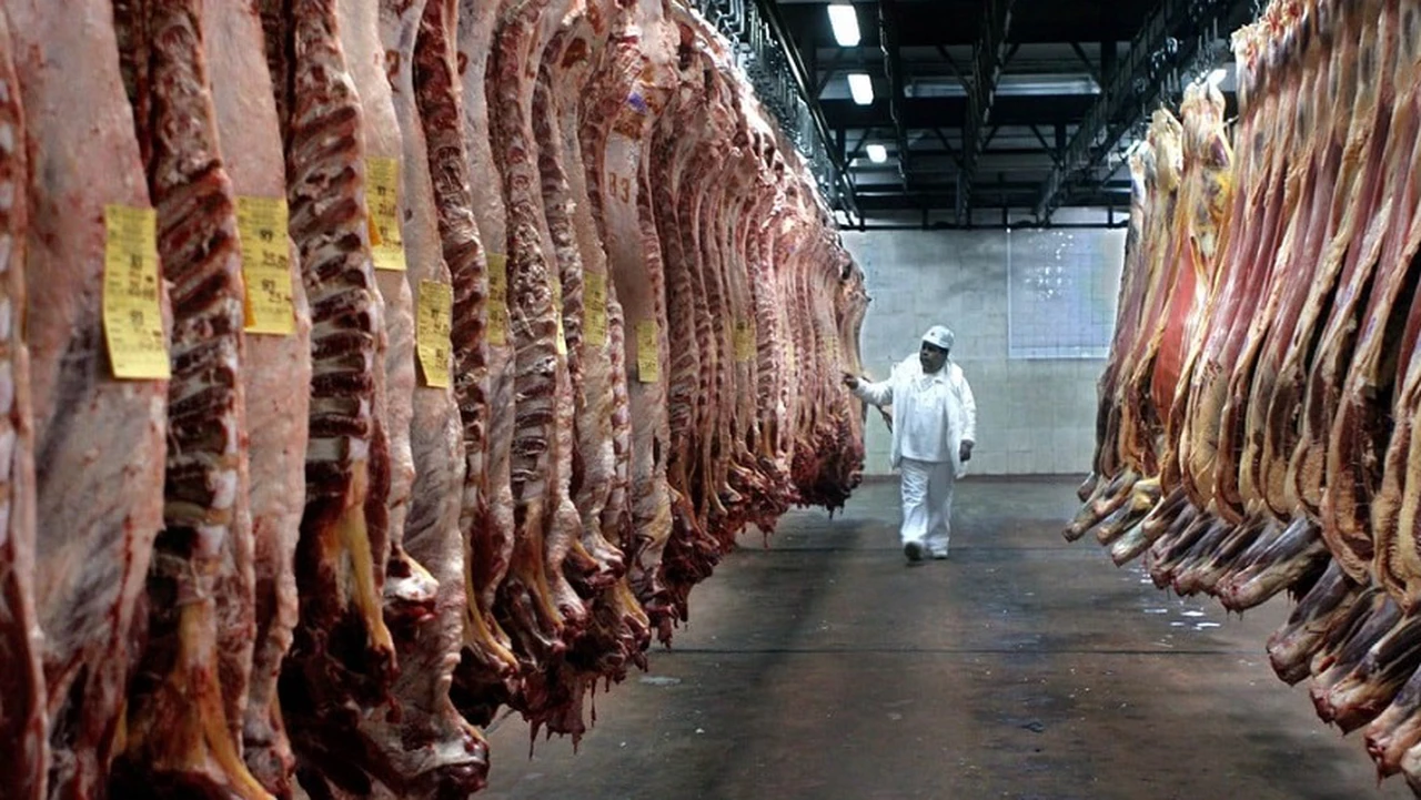 Alerta por el precio de la carne: pese al explosivo aumento de precios, comienza a caer la producción
