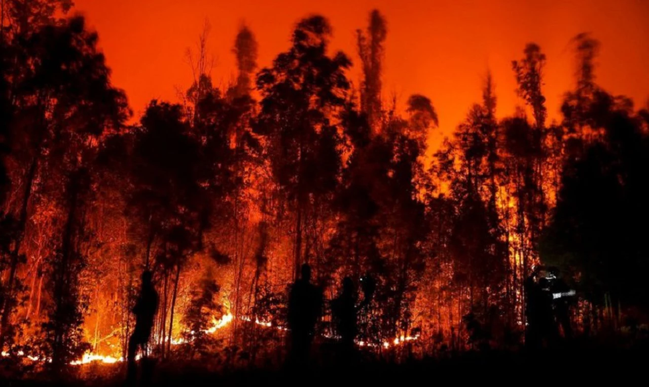 Chile: ya son 24 los muertos y 800 las viviendas arrasadas por los incendios forestales