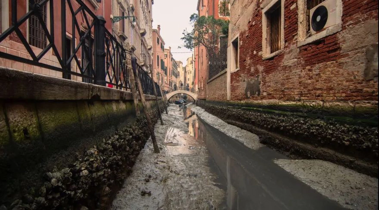 Venecia sin agua: las imágenes de las góndolas y los peces en el barro