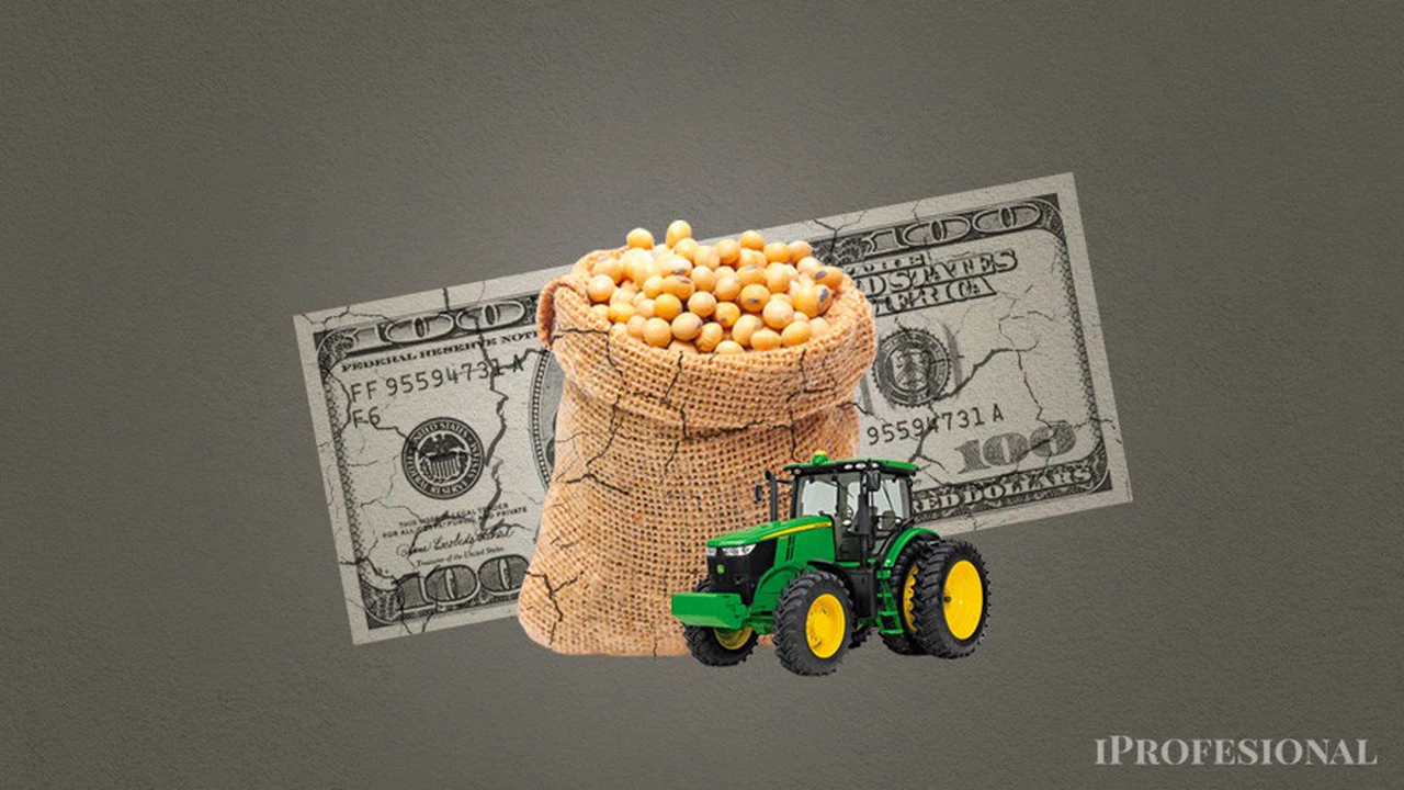 El campo, en alerta: caen precios de los granos y los productores enfrentan nuevo "combo fatal"
