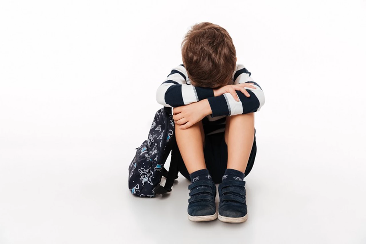 Día Internacional de la Lucha contra el Bullying: la pubertad precoz como factor de mayor vulnerabilidad
