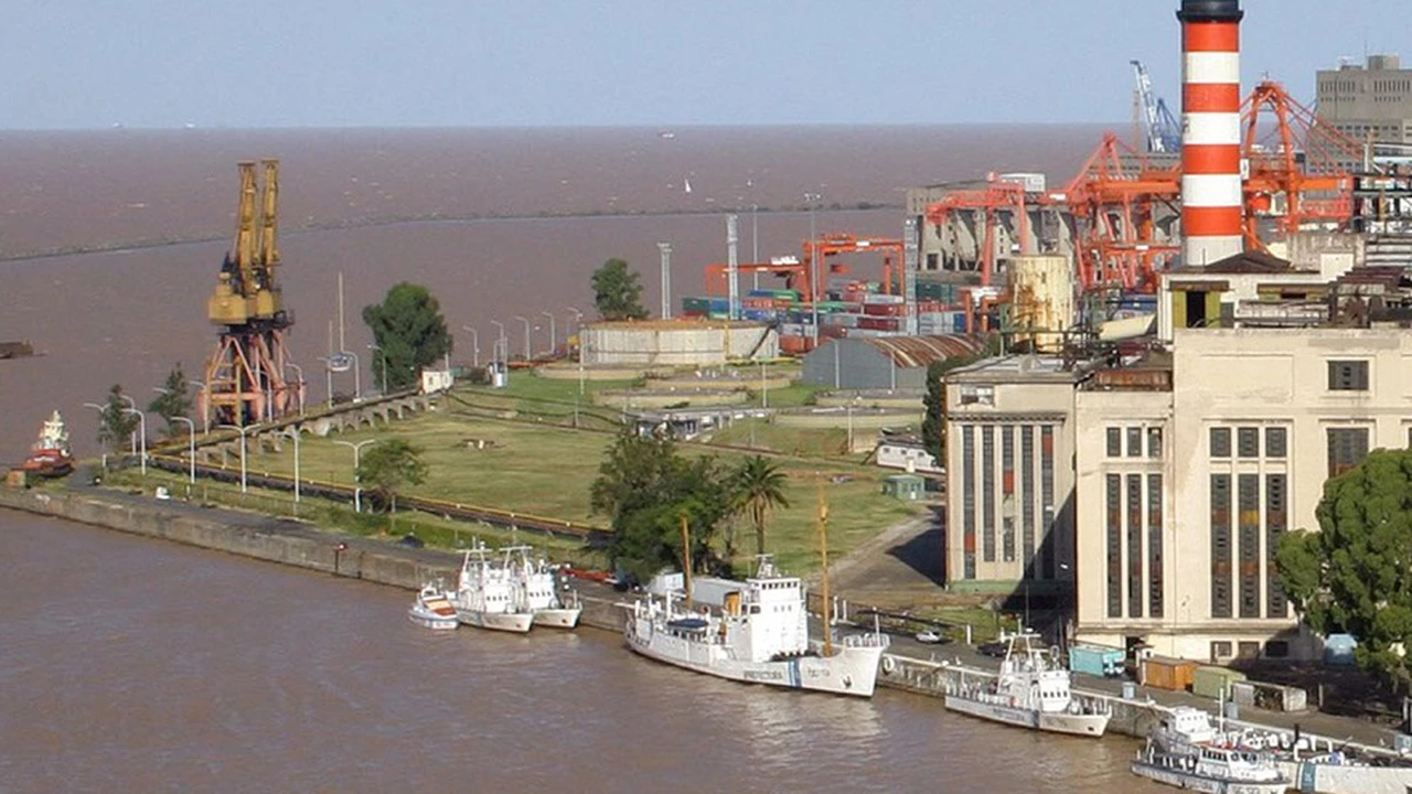 La mayor generadora de energía de la Argentina pone el foco en la forestación