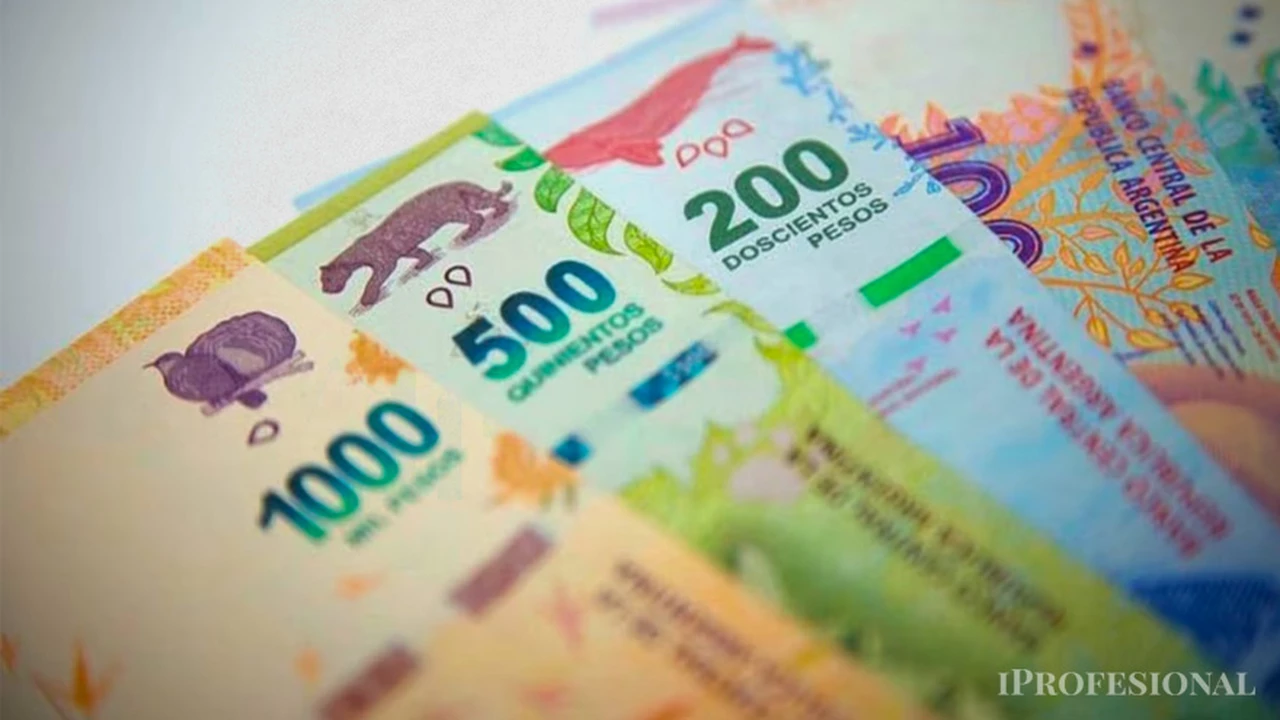 Revelador: cuánto valdrían los billetes de 100, 500 y 1.000 pesos si se ajustaran por inflación desde su creación