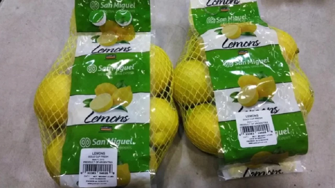 Por qué la mayor productora de limones argentina construirá una planta en Sudáfrica