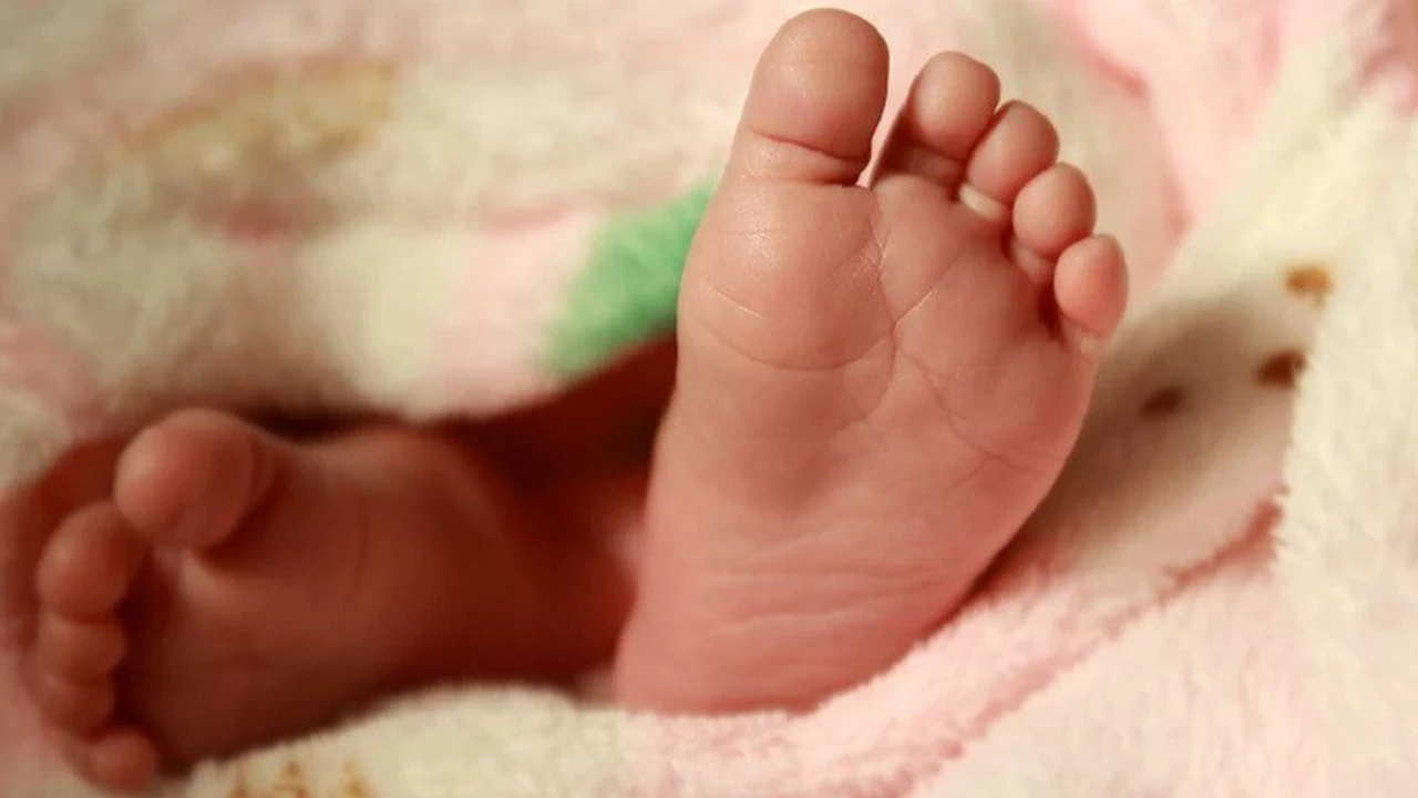 ¿Por qué es importante que se cumpla el Programa Nacional de Pesquisa Neonatal?