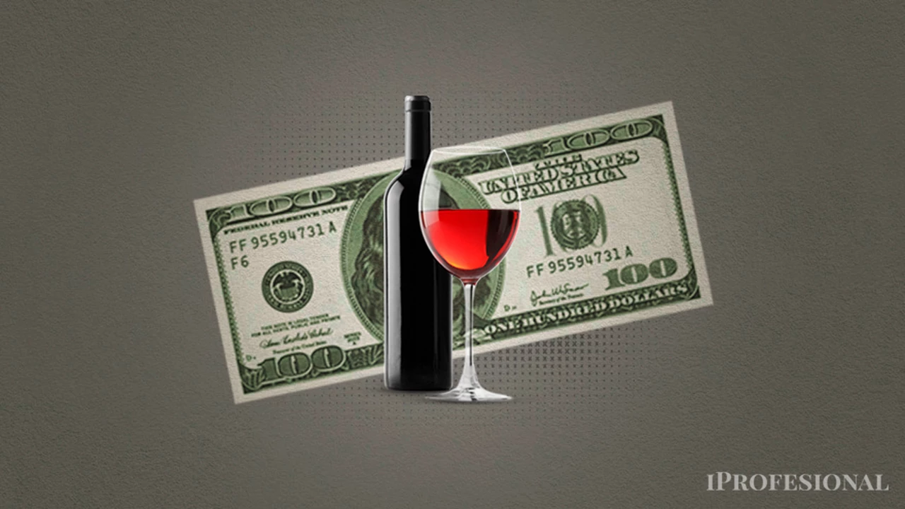 El vino argentino, en crisis: bodegas piden suba del "dólar Malbec" y que no sea obligatorio Precios Justos