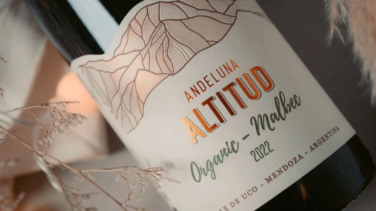 Por qué tenés que probar el primer vino orgánico de Bodega Andeluna